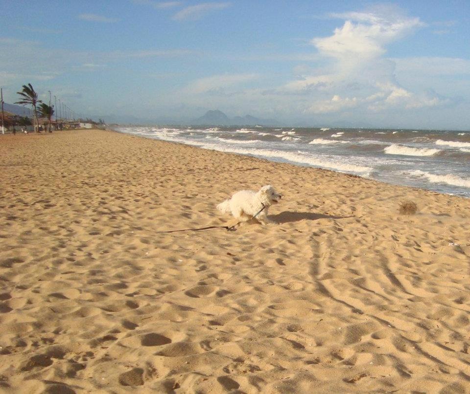 Casa De Praia - Verao Vermelho I - Cabo Frio - Unamar Exteriör bild